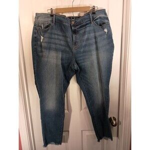ana A New Approach High Rise Jeggings Size 24W Blue